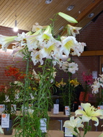 Foto: Dr. Peter Müller